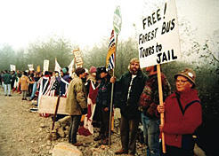 Protesters at Clayoquot Sound in 1993. Collection of Ruth Masters
