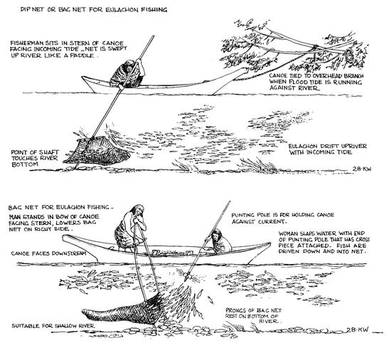 Selection of Scrimshaw etchings for inset into landing net handles. - Nets  that Honor the Fish