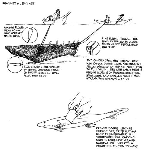 Nets and Netting -- KnowBC - the leading source of BC information