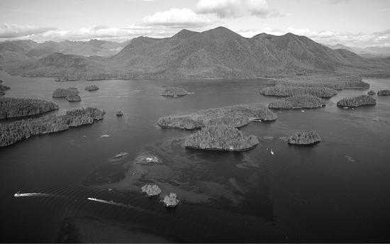 An aerial view of several small islands densely covered with evergreen trees. There is a larger island on the horizon which is more mountainous.
