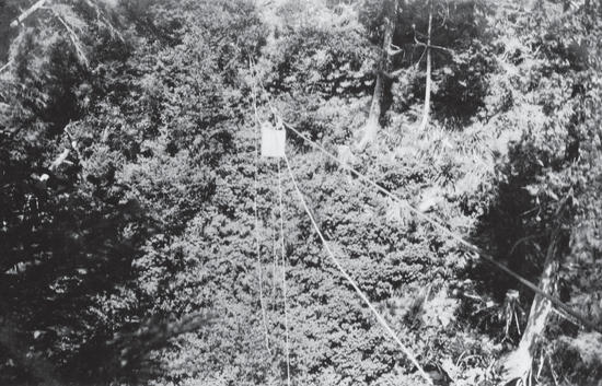 An object travelling along suspended ropes over a forest. 
