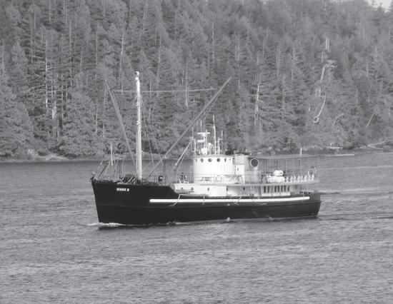 A sailboat, its bottom half dark and its top light, on a body of water. Beside the water is a forest. 