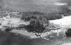 An aerial view of a small collection of buildings and docks by a body of water. Behind them are fields and a large expanse of forest.