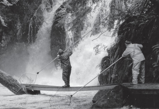 Two people in jackets stand above a body of water holding long nets. Behind them is a waterfall. 