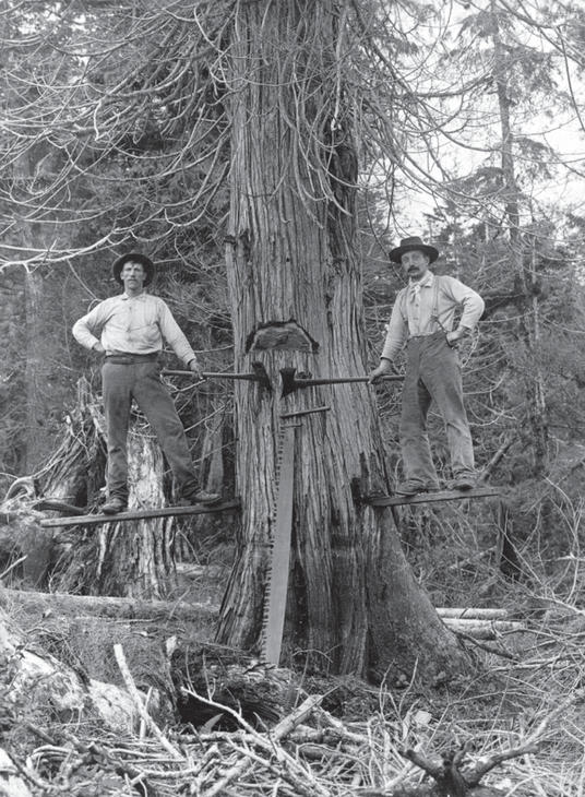 Two people stand on sticks attached to the trunk of a tree, posed for the camera with axes in their hands. A saw leans against the tree below them.