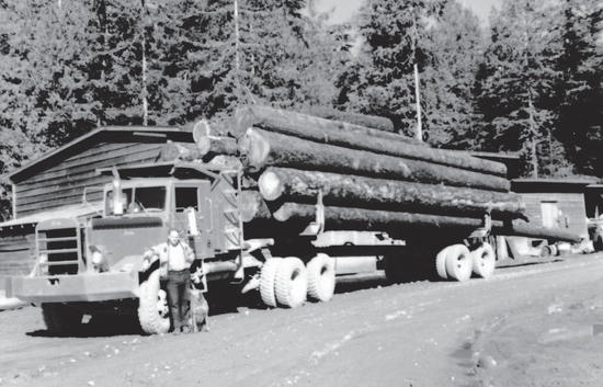 A person stands next to a truck carrying a pile of logs. 