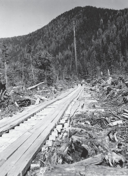 Railroad tracks surrounded by wood, they lead to a forest. 
