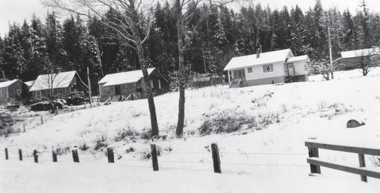 Buildings surrounded by snow. Behind them are trees. 