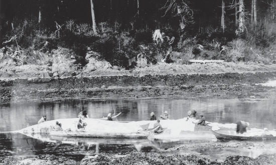 A group of about eleven people standing in shallow water around the corpse of a whale.
