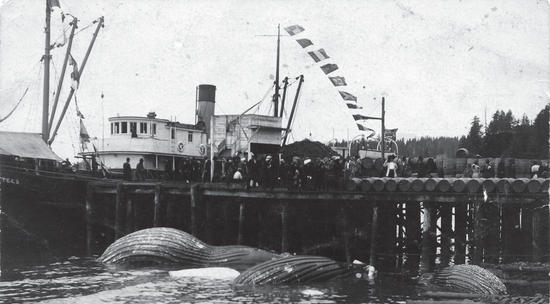 A large group of people stand on a dock before a light-coloured steamboat. 