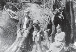 A man, a woman, and a child sit on tree stumps while looking away from the camera. 