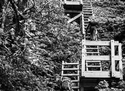 Hikers in recent times make their way up one of the many staircases on the West Coast Trail. Image courtesy of Jason Hummel.