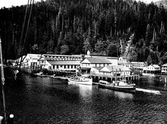 Photograph of three fishing boats in front of a fish processing plant built on the inlet showing rippled water with a heavily treed-banked forest in the background.