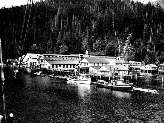 Photograph of three fishing boats in front of a fish processing plant built on the inlet showing rippled water with a heavily treed-banked forest in the background.