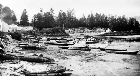 Photograph of a variety of canoes on the beach in front of the Hesquiaht Village.