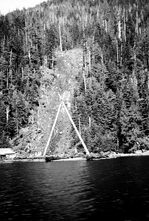 Photo of steep forested hillside at the water's edge with gyppo logging operation cut into the centre, showing one area bare and stripped of trees.