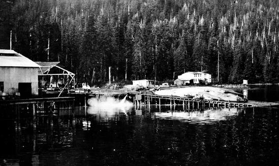 A dark photograph shows a whaling station with docks, buildings, a deceased whale on the right dock, and a forest in the background.
