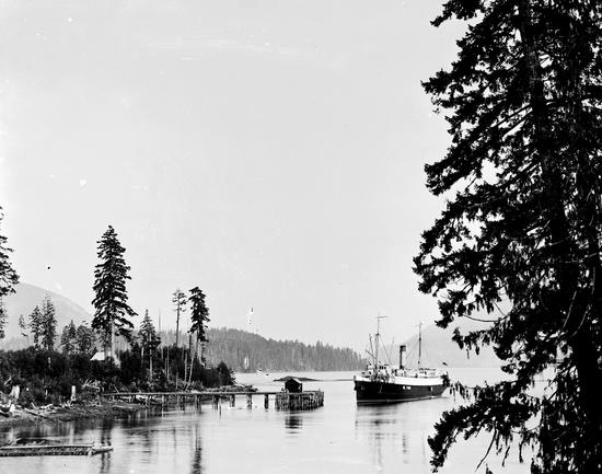 Photo of Princess Maquinna in calm, glassy, water, a large tree on the right in the foreground and a dock on the left.