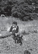 Capi sitting on a beach petting a dog