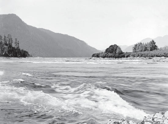 Water rapids in the foreground, with trees and mountains in the background