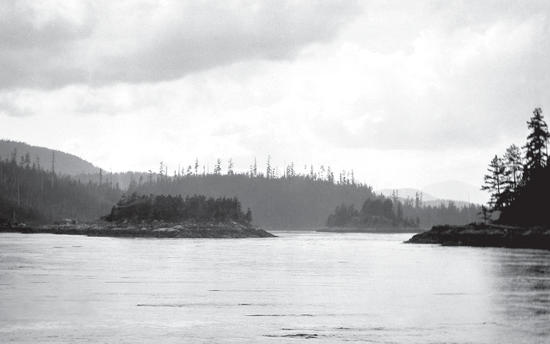 An expanse of water with trees on either side under a cloudy sky