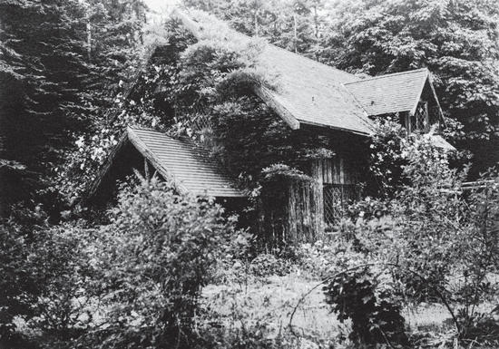 A wooden house surrounded by trees and bushes, and partially covered in plant growth