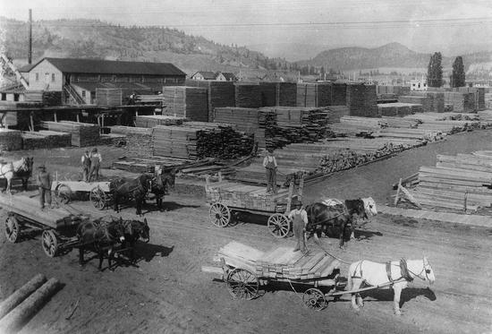 Horse-drawn carts carrying wooden planks. On each cart stands a person. Behind them are piles of countless wooden planks.