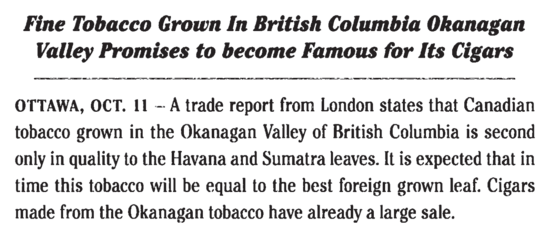 A scan of a news article titled: Fine Tobacco Grown In British Columbia Okanagan Valley Promises to become famous for Its Cigars