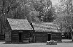 Two wooden buildings with a staircase between them. They are surrounded by trees with weeping leaves.