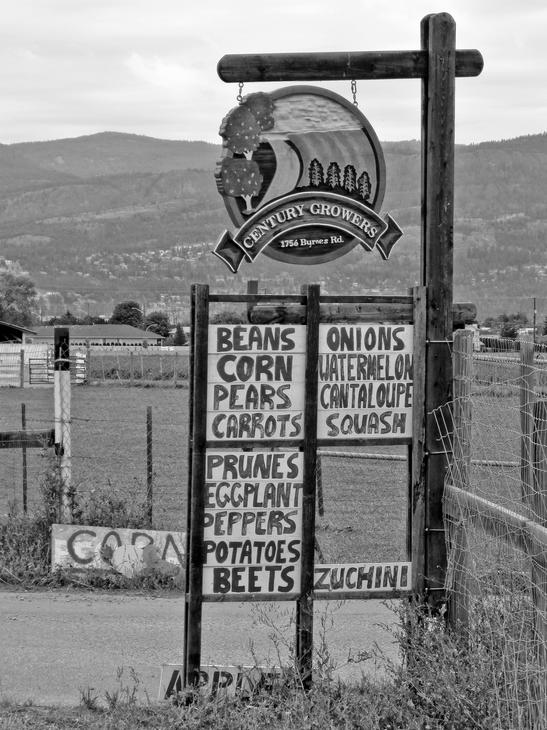A circular sign hanging from a wooden pole. Beneath this sign are hand-written signs advertising different produce items. 