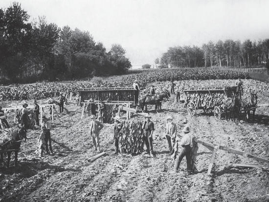 Trees are in the foreground. In the background are large, long buildings and fenced pathways. The ground is covered in snow.