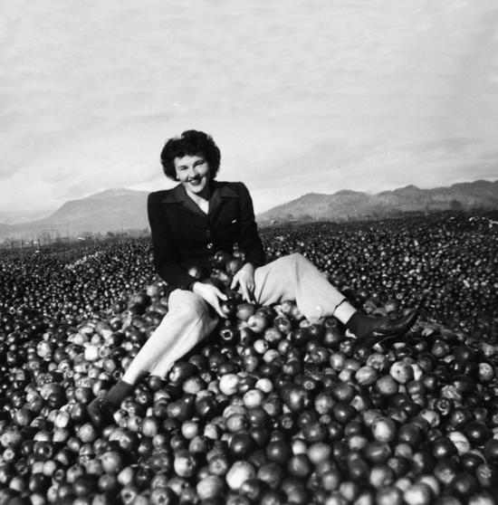 A woman grinning while she sits in a pile of apples. She has short hair and wears a blazer, loose pants and heeled shoes. The pile of apples extends far behind her, covering a large area. 