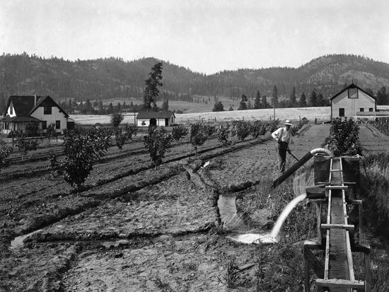 A field where a single man is working. In front of him is a long irrigation system with water flowing from it. In the background are three buildings, trees and hills.