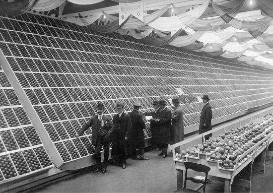 Countless apples in boxes on a slanted wall. In front of them is a group of people, five are looking at the apples while two look at the camera. Behind them is a long table holding plates with piles of apples.
