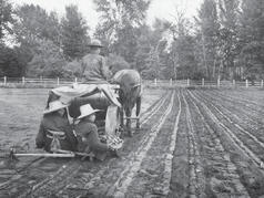 A horse pulls a machine on a field. Two people sit behind the machine.