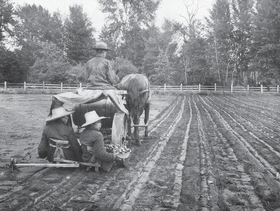 A horse pulls a machine on a field. Two people sit behind the machine.