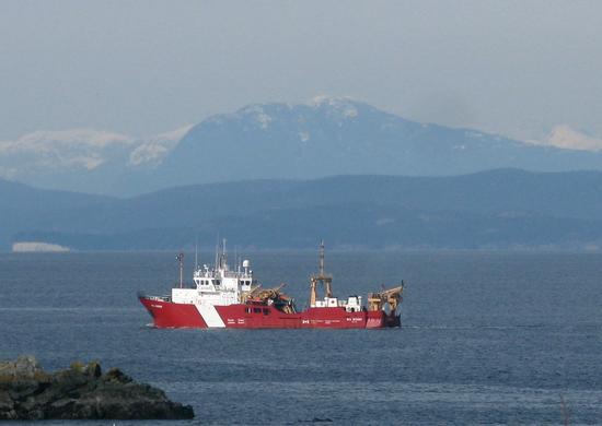 The W.E. Ricker is used to study fish in the Strait of Georgia. At 58 m in length, it has a crew of up to 27, including researchers.