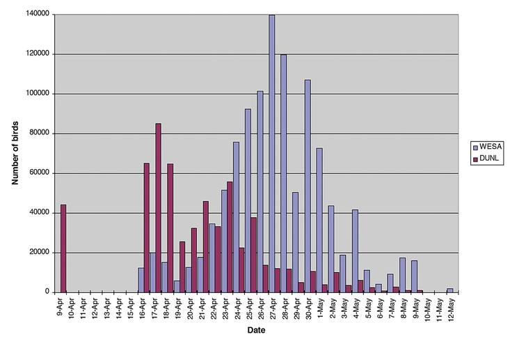 Figure 6. Surveys for western sandpiper (WESA) and Dunlin (DUNL) by Moira Lemon of the Canadian Wildlife Service along a 2.5-km section of Brunswick Point in 2008