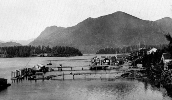 Late 1920s, looking east toward the government dock, with Sid Elkington’s store at the end. The dock in the foreground led to Towler and Mitchell’s store, visible on  the far right. On the left, the Tofino Trollers’ co-operative fish-buying camp. The clear-cut “Dream Isle,” now Arnet Island, is in the background.