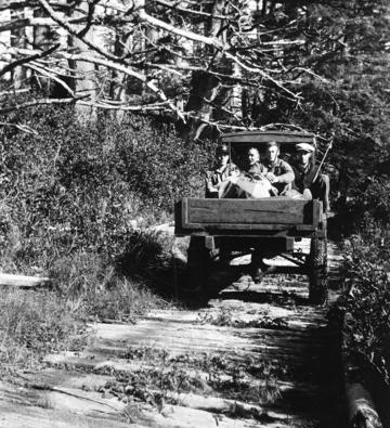 The corduroy road under construction outside Tofino, heading toward Ucluelet, circa 1920.