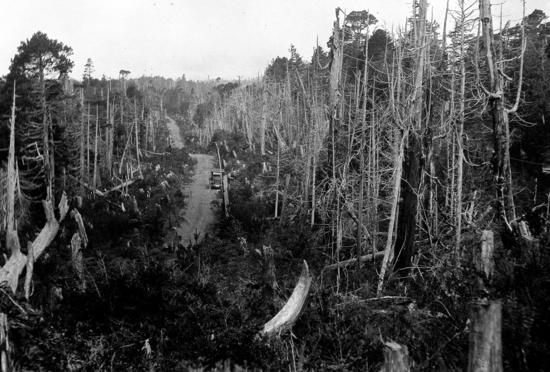 The early road between Tofino and Ucluelet, late 1920s. Completed in 1928 after decades of effort, for many years part of the journey required vehicles to drive a  considerable distance on Long Beach, rejoining the road at the other end of the beach.