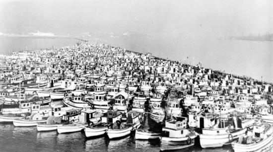 In 1942 the Canadian government seized all fishing vessels owned by people of Jap-anese descent on the west coast of Canada and impounded them at Annieville on the Fraser River. The Royal Canadian Navy and the Fishermen’s Reserve seized 1,200 boats in total, many of them shown here.