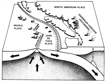 Tectonic plates are constantly in motion off Canada’s west coast. The Juan de Fuca plate is forced under the North American plate, less than 500 kilometres off Clayoquot Sound, creating an ever-present danger of earthquakes.