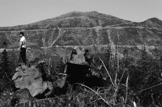 Rufus Charleson stands in front of the massive clear-cut on Mount Seghers, part of Hesquiaht territory, in the early 1980s. Such logging practices ignited international protests. Adrian Dorst photo