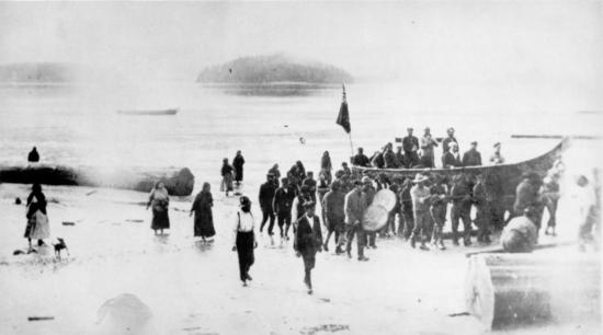 Potlatch at Opitsat in 1916. Though banned by the government in 1884, potlatches continued. Here Tla-o-qui-aht people carry guests in their large canoe up the beach at Opitsat, while drummers beat out a welcome. Potlatches took place during the winter months to celebrate important events with feasting, storytelling and gift-giving.