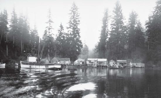 The Tla-o-qui-aht village of Okeamin on the east shore of the Kennedy River near the Clayoquot cannery, ca. 1930.