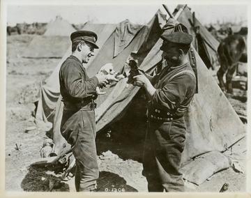 Many soldiers adopted pets like these to provide some comfort far from home