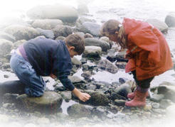 Children gather pebbles on a beach with help from A Field Guide to the Identification of Pebbles.