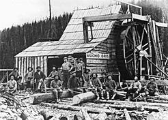 The Mucho Oro (“Lots of Gold”) Mine and the men who worked in it. The large wheel is a water wheel, which workers used to empty water that seeped into the mine shafts underground. Note the three Chinese miners on the left. BC Archives A-00613 