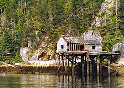 The ruins of  the old Bones Bay salmon cannery. Peter Vassilopoulos photo